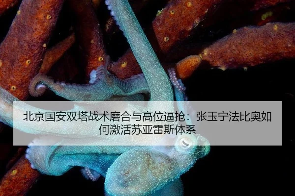 bei-jing-guo-an-shuang-ta-zhan-shu-mo-he-yu-gao-wei-bi-qiang-zhang-yu-ning-fa-bi-ao-ru-he-ji-huo-su-ya-lei-si-ti-xi-3-637.jpg