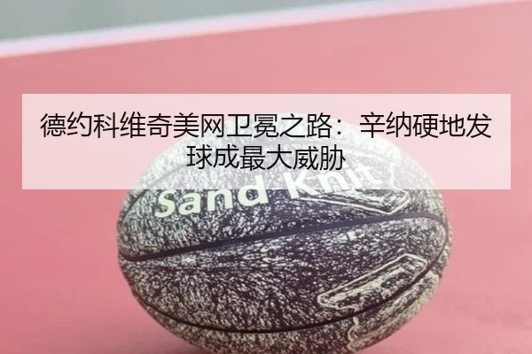 de-yue-ke-wei-qi-mei-wang-wei-mian-zhi-lu-xin-na-ying-di-fa-qiu-cheng-zui-da-wei-xie-3-277.jpg