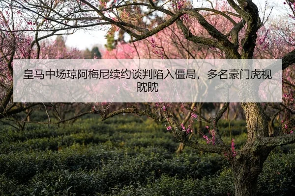 huang-ma-zhong-chang-qiong-a-mei-ni-xu-yue-tan-pan-xian-ru-jiang-ju-duo-ming-hao-men-hu-shi-dan-dan-1-847.jpg