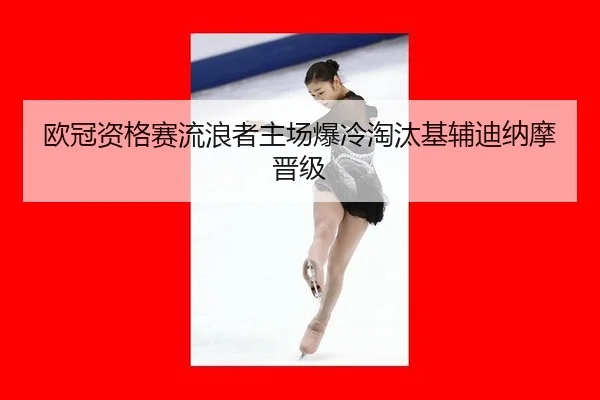ou-guan-zi-ge-sai-liu-lang-zhe-zhu-chang-bao-leng-tao-tai-ji-fu-di-na-mo-jin-ji-2-299.jpg