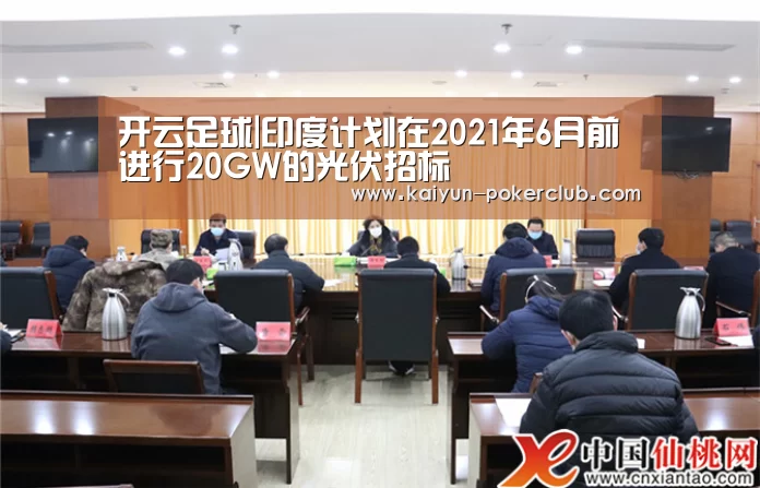 开云足球|印度计划在2021年6月前进行20GW的光伏招标(图2) 开云赛事