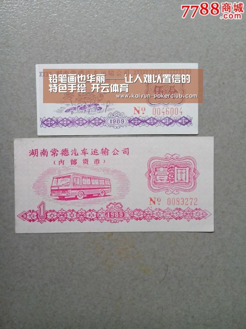 铅笔画也华丽——让人难以置信的特色手绘_开云体育(图3) 开云足球