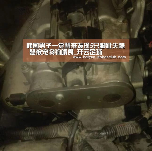 开云体育